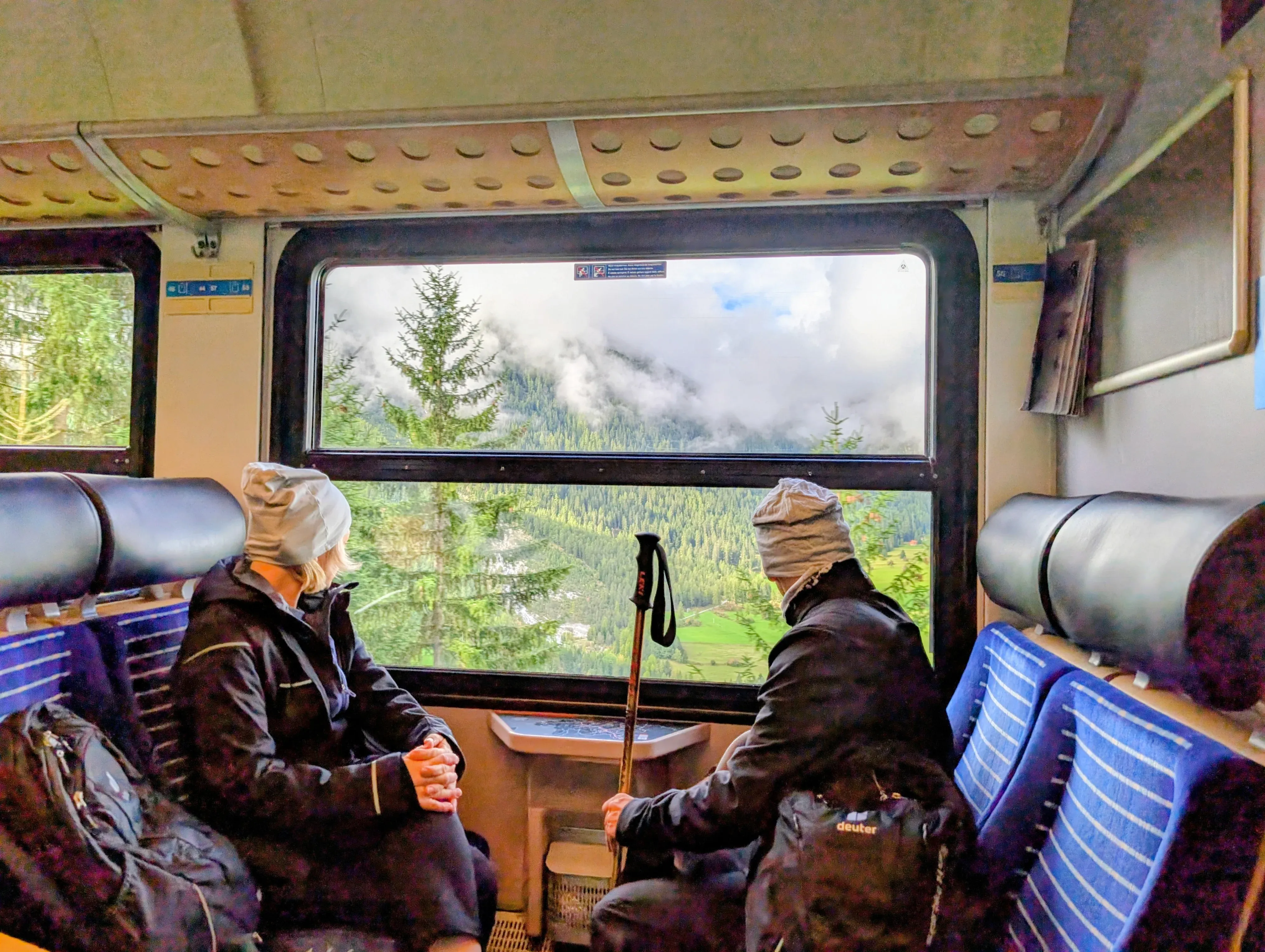 View from inside an RhB train coach through a large window overlooking evergreen pine forests and alpine peaks in Bergün, Switzerland.